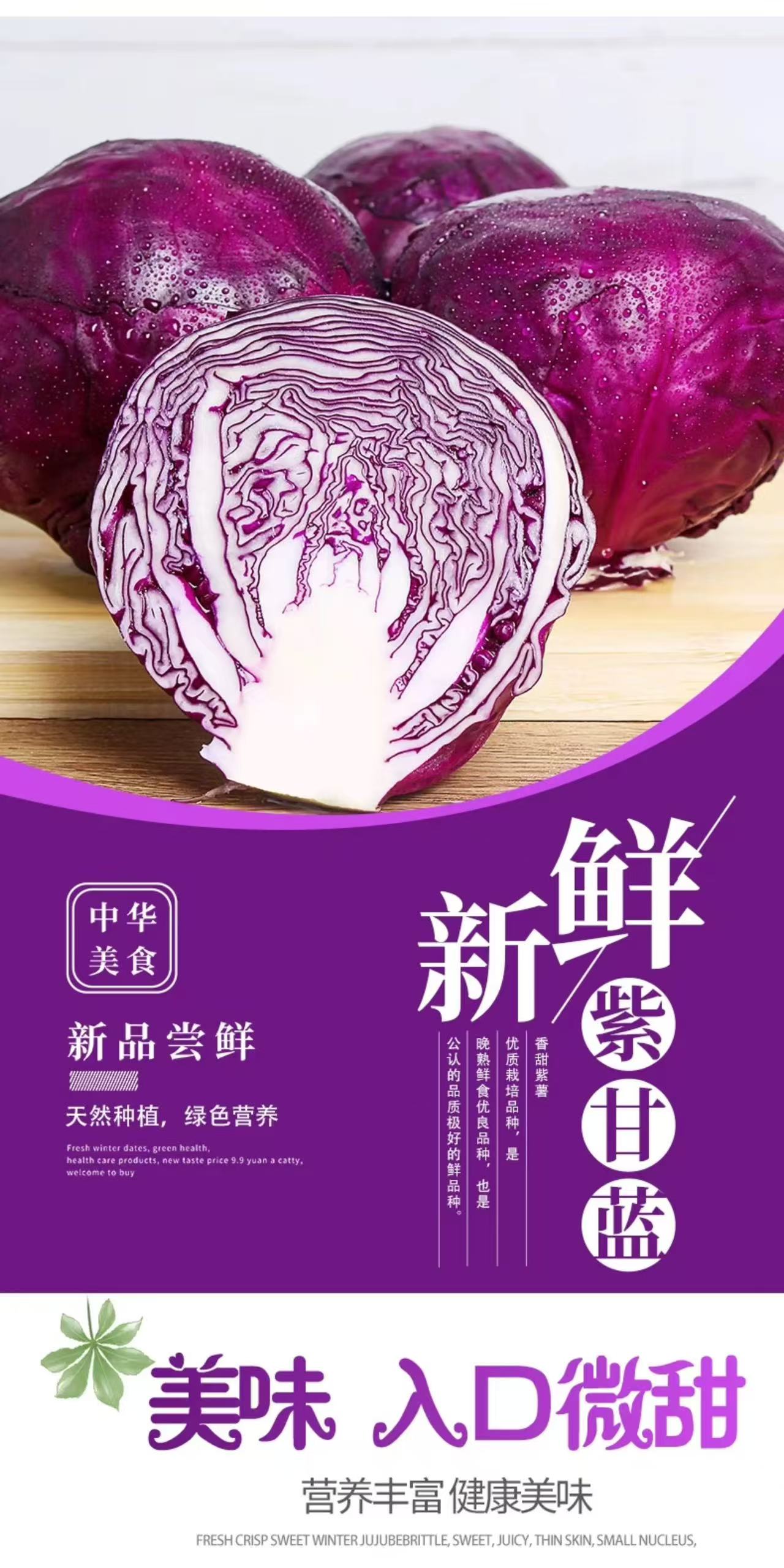 新鲜紫甘蓝 紫包菜沙拉蔬菜批发