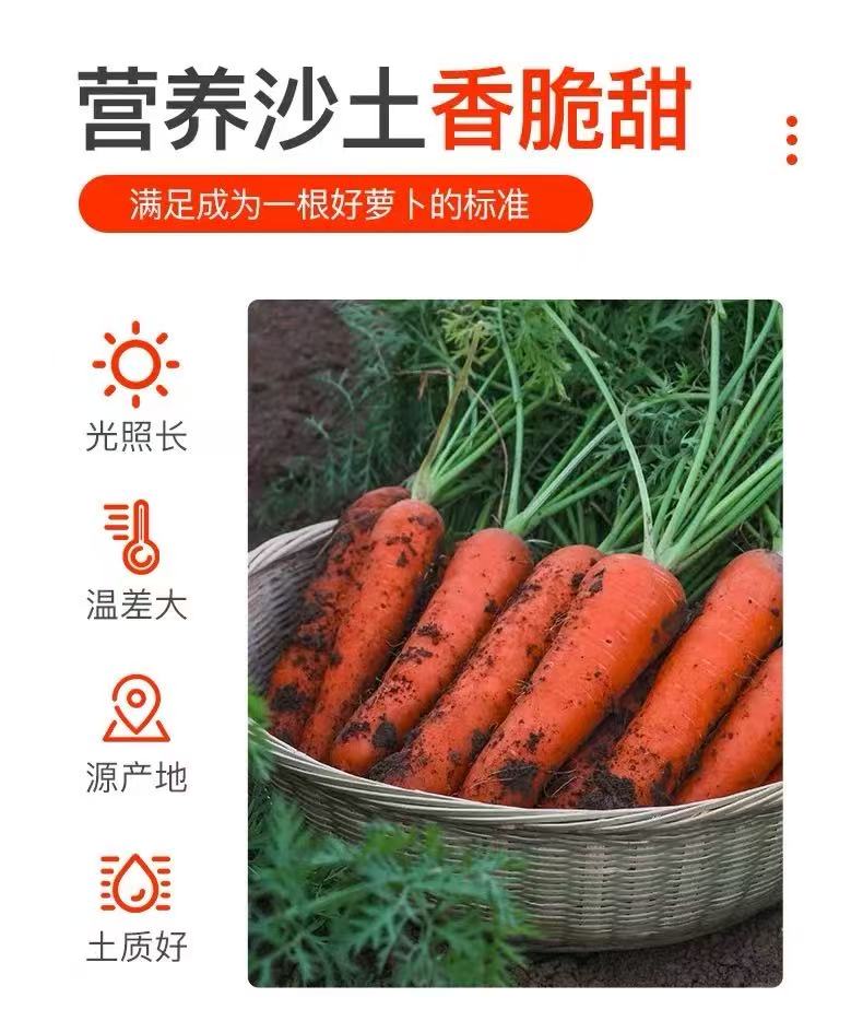 水果胡萝卜 脆甜生吃当季