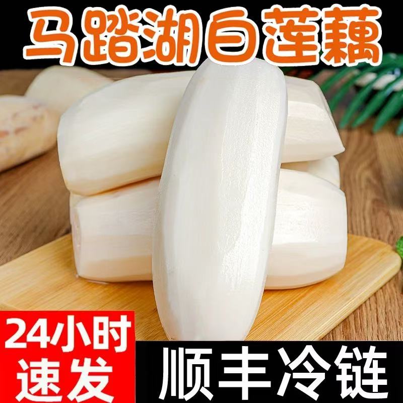马踏湖白莲藕 现挖脆藕生吃