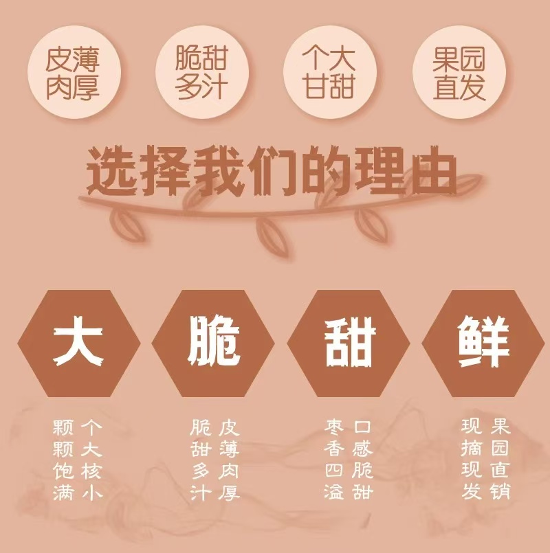 陕西大荔冬枣 详情图4