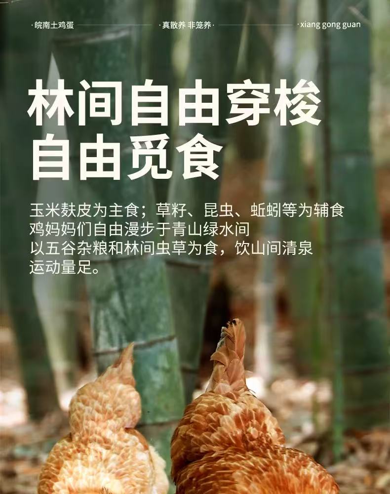 皖南林间散养土鸡蛋