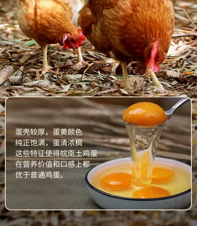 皖南林间散养土鸡蛋 详情图1