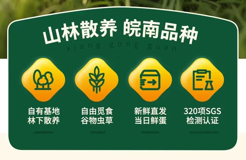 皖南林间散养土鸡蛋 详情图2