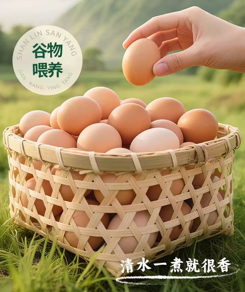 皖南林间散养土鸡蛋 详情图4