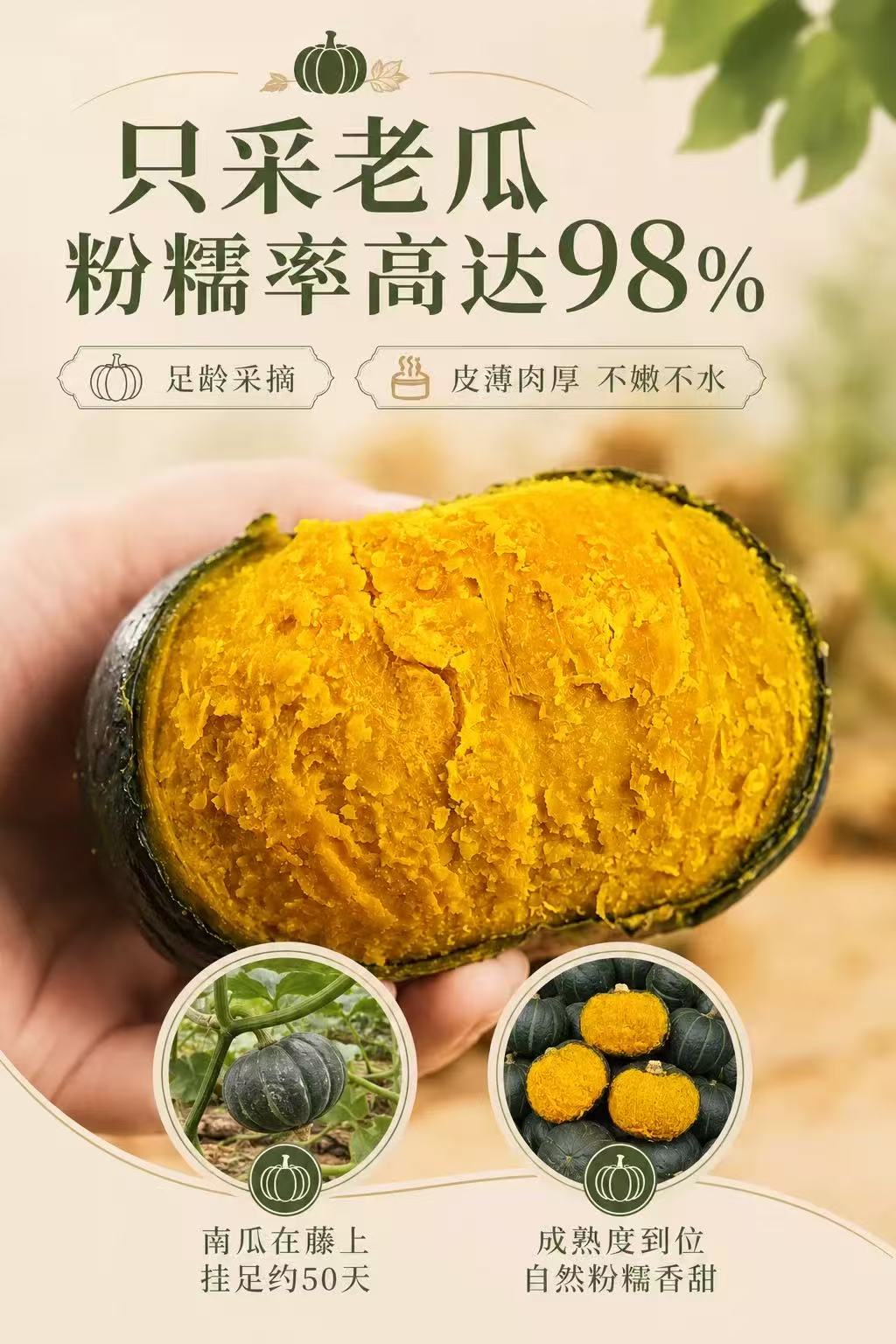 贝贝南瓜