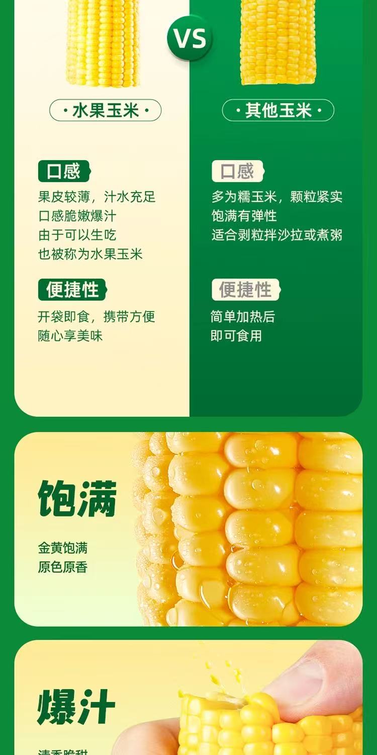 十月稻田水果玉米段 详情图2