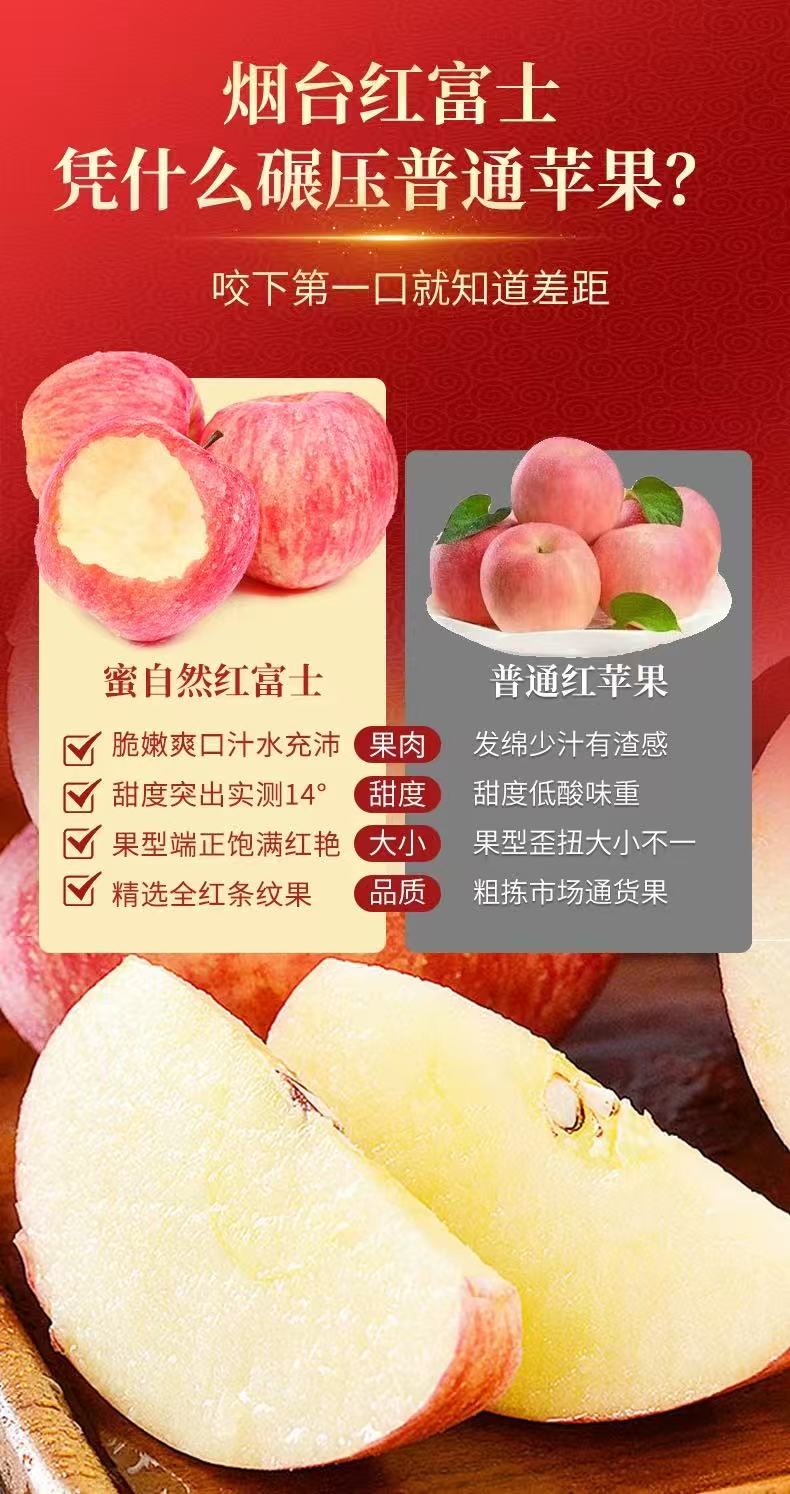 烟台栖霞红富士苹果 详情图2